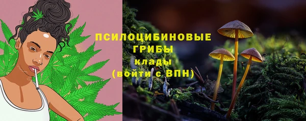 jwh Вяземский