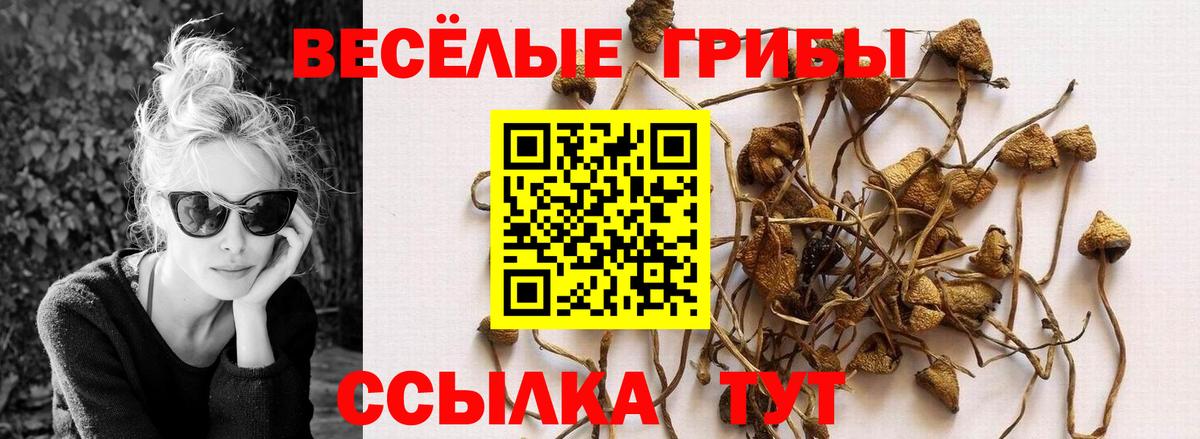 Галлюциногенные грибы MAGIC MUSHROOMS  Вход с VPN  Курск  Галлюциногенные грибы прущие грибы 