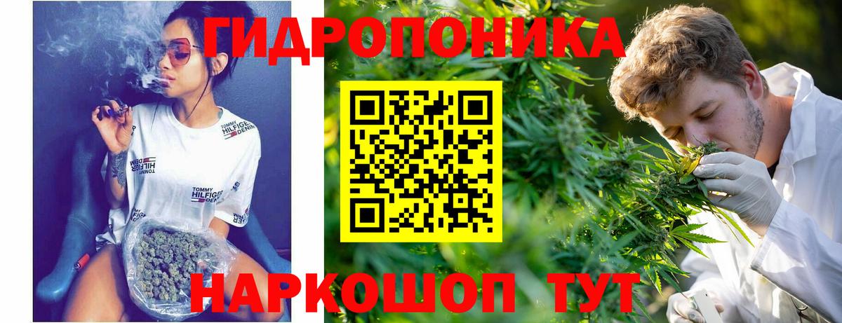 МАРИХУАНА LSD WEED  МАРИХУАНА семена  Бошки Шишки VHQ  Вход с VPN  Курск 